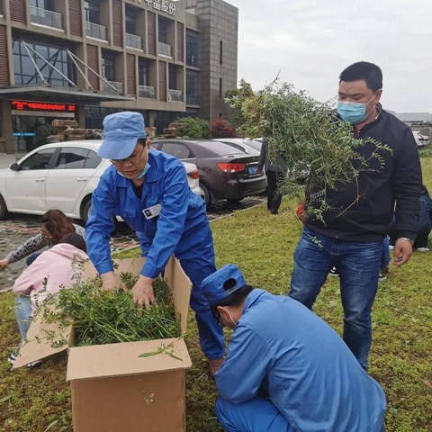 俄罗斯专享会·294VIP(中国区)官方网站