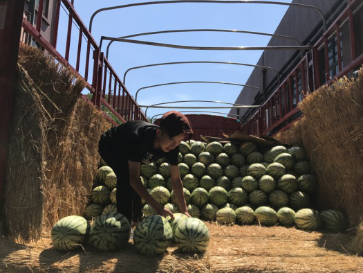 俄罗斯专享会·294VIP(中国区)官方网站